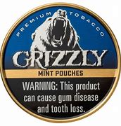 GRIZZLY - GRIZZLY MINT POUCH